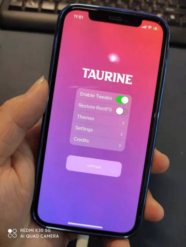 图片[7]-全新越狱工具TAURINE发布，支持所有设备越狱14.0~14.3-抖有网